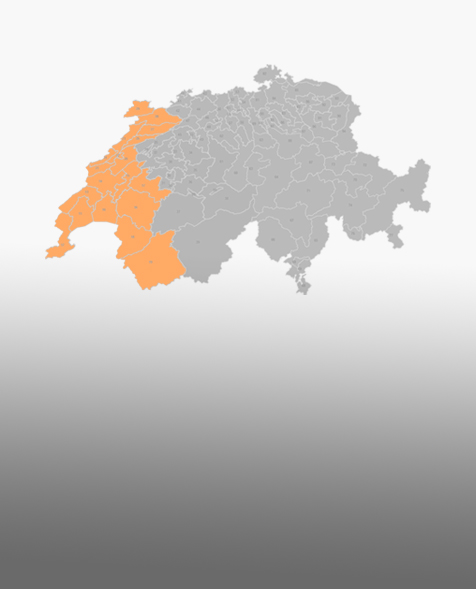 Swiss map 1