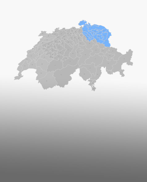 Swiss map 5