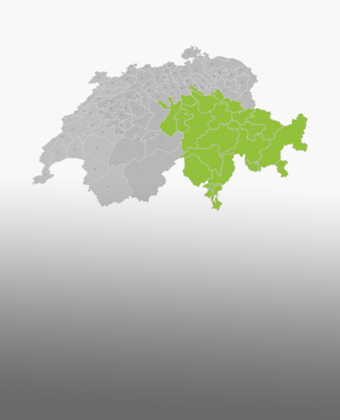 Swiss map 4